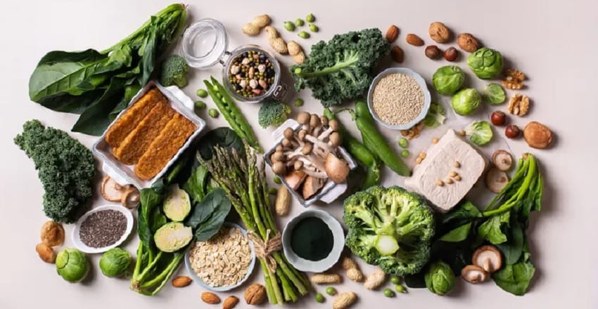 high protein diet