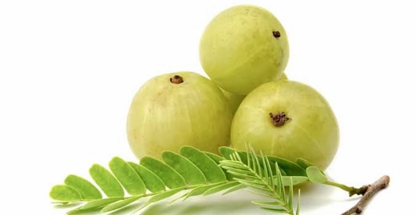 Amla