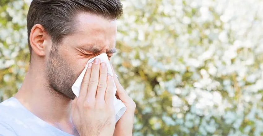 Ayurveda Allergy Medicine: Natural Relief for Long-Term Healing