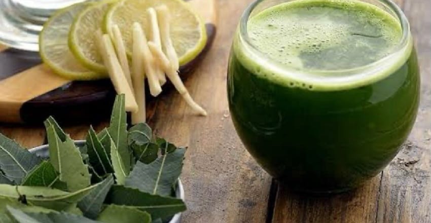 Neem in Chaitra: Ayurveda’s Wisdom for Seasonal Balance