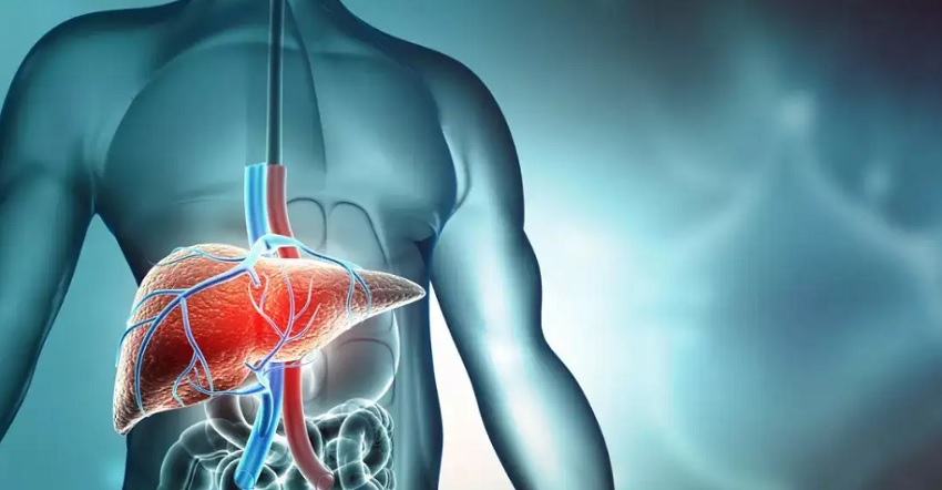 Herbal Ayurvedic remedies for liver cirrhosis treatment