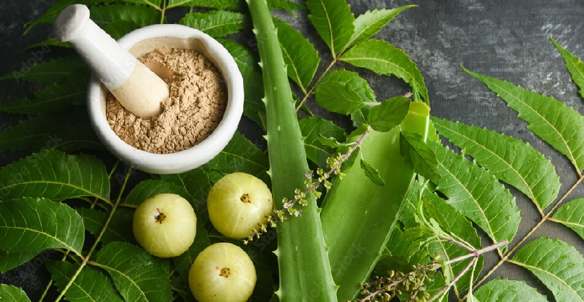 Natural SPF sunscreen with Ayurveda herbs like Chandan, Avocado, and Vitamin C