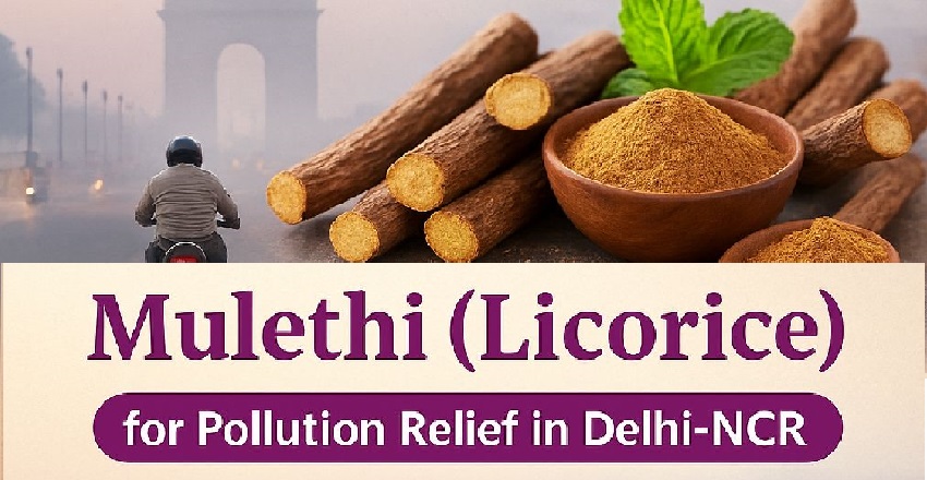 Mulethi (Licorice): The Ayurvedic Shield Against Pollution in Delhi-NCR